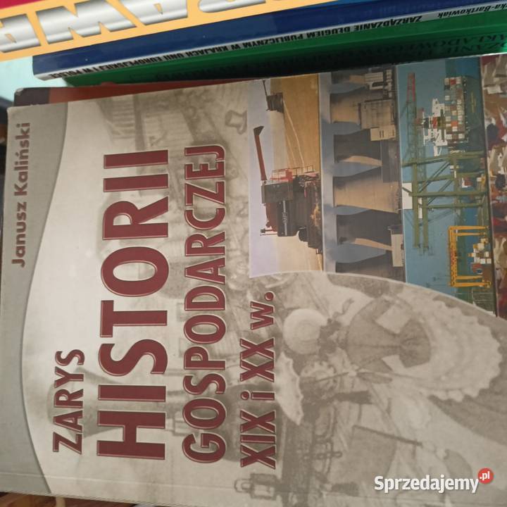 Zarys historii gospodarczej książki wysyłka