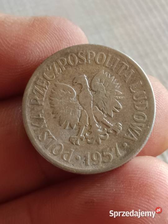 Sprzedam monetę 50 groszy 1957 lekka skrętka lubelskie sprzedam