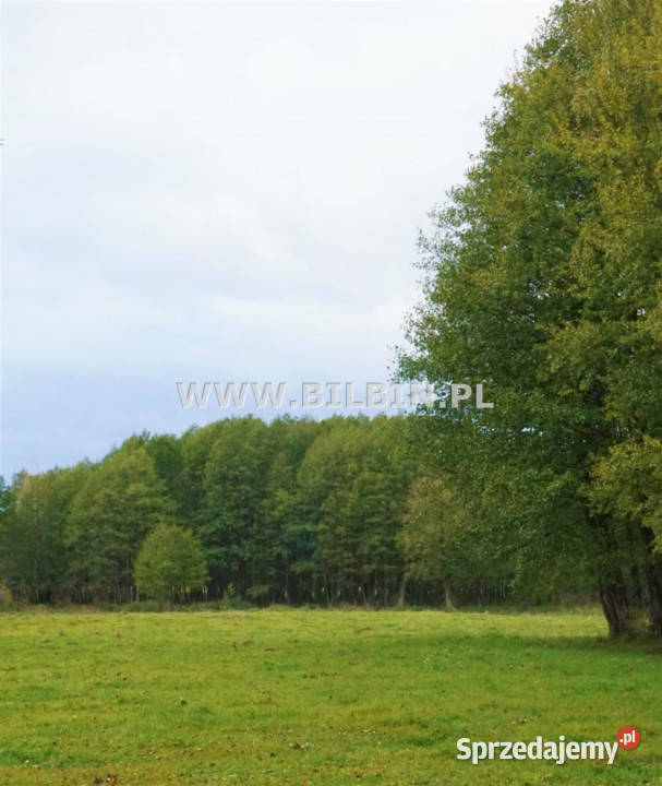 sprzedaży gruntu Sokołowo 16096m2 16096m2