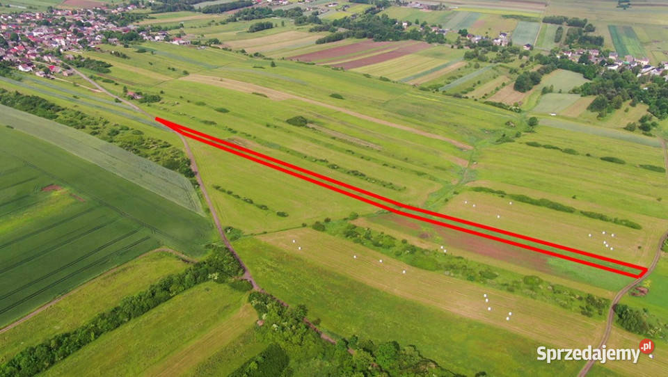 Działka rolna PorębaNiwki 4806m2 Poręba