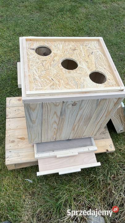 warszawski poszerzany korpusowy kombinowany podkarpackie Głogów Małopolski