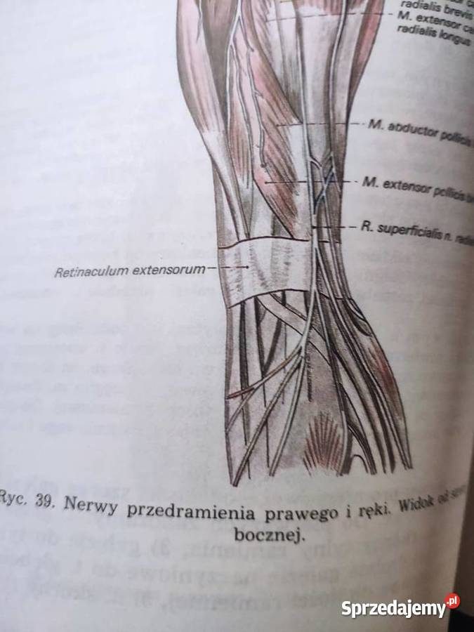 Anatomia człowieka komplet 5 tomów