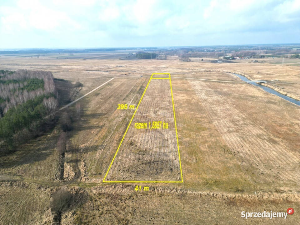 Łąka Horbów Kolonia gm Zalesie pow bialski Horbów-Kolonia