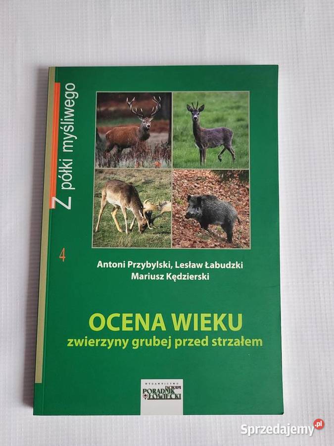 Ocena wieku zwierzyny grubej przed strzałem Olesno