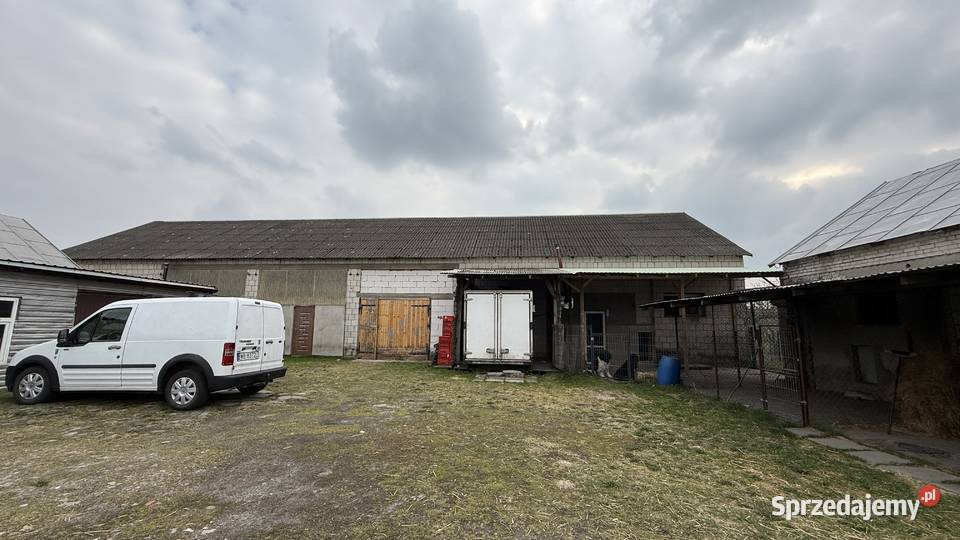 Siedlisko 1 ha dom 120m2 i budynki 700 m2 Nasielsk sprzedam