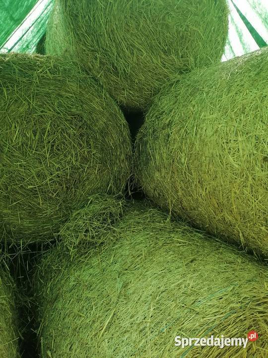 Słoma