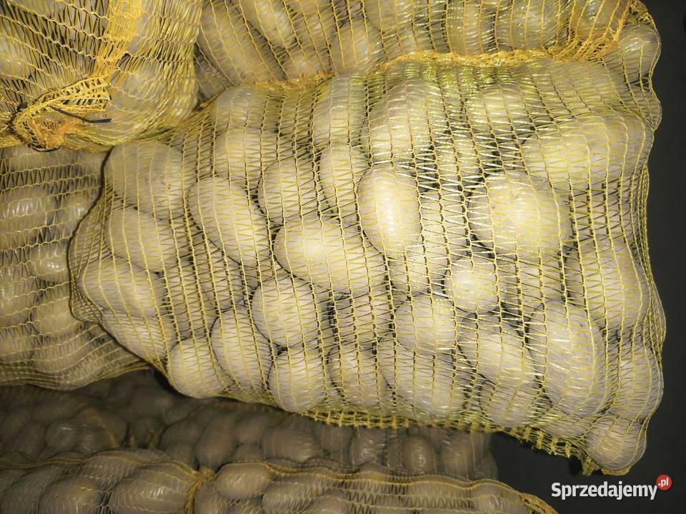 Sprzedam ziemniaki jadalne małopolskie Sułoszowa