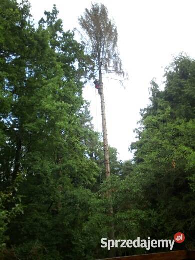 Usługi alpinistyczne Pozostałe usługi Świdnica