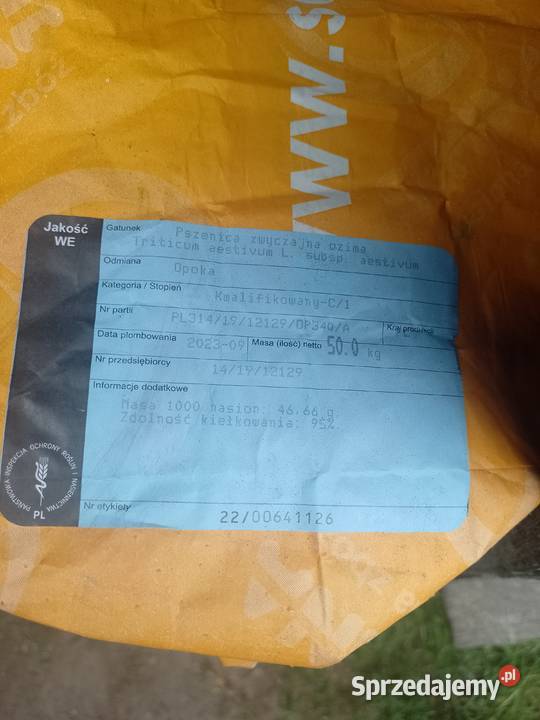 Sprzedam pszenicę konsumpcyjną Opokę Zboża Łuków sprzedam