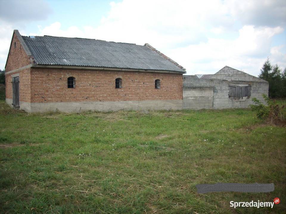 Działka siedlisko Romanów