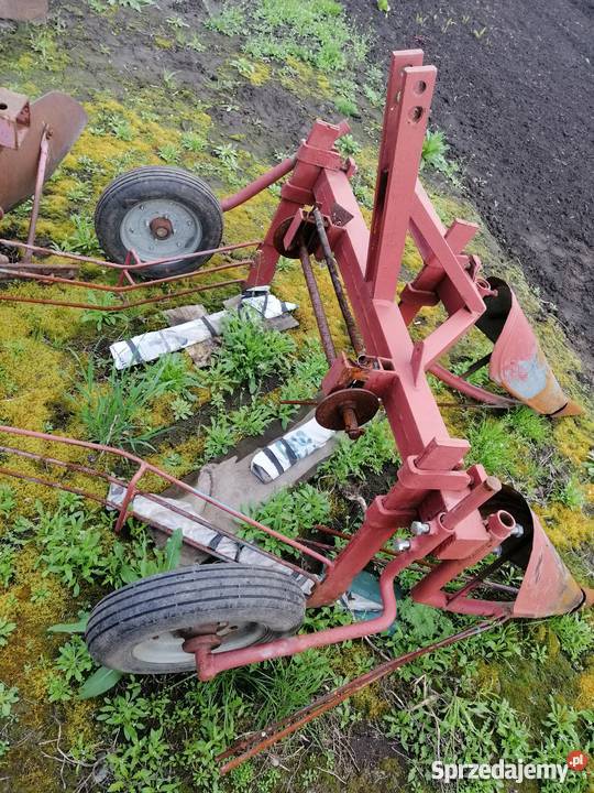 Ścinacz do fasoli trzy rzędowy przerobiony na Dutrów