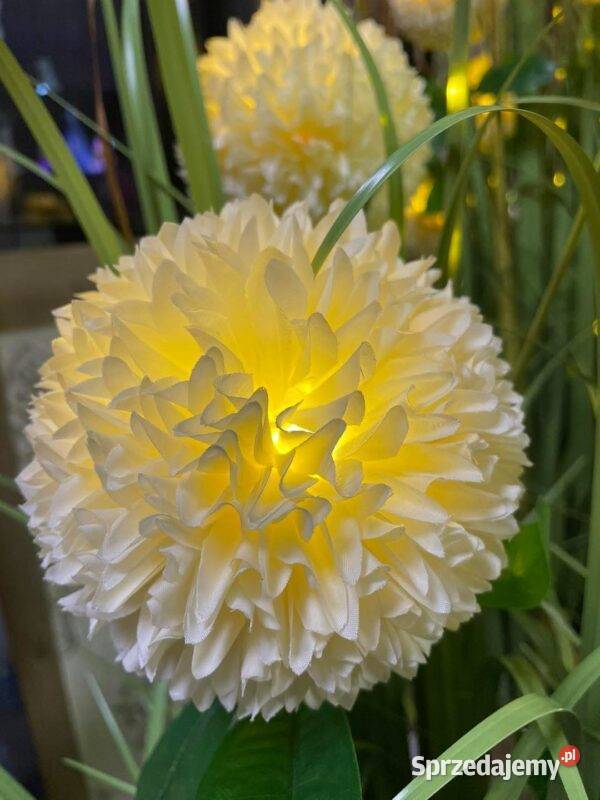 Sztuczna trawa dekoracyjna Premium podświetlana Golkowice