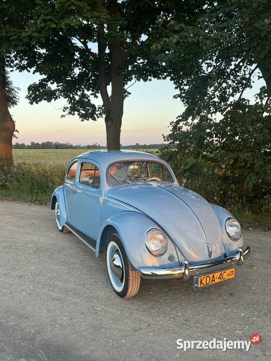 Volkswagen Garbus Oval 1954