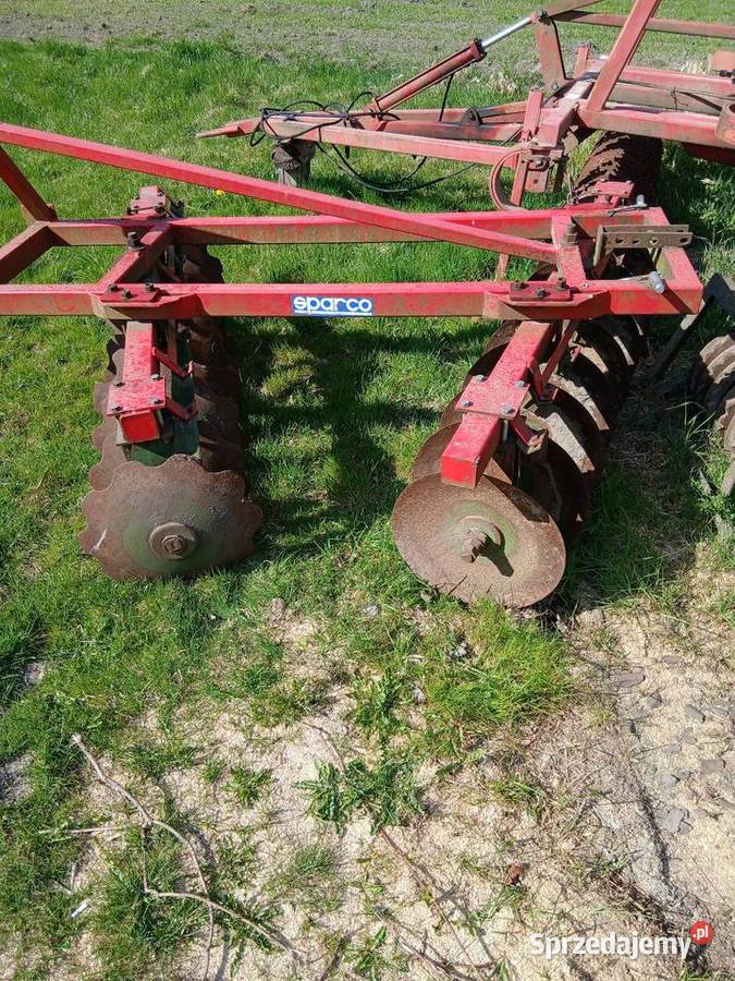 Talerzówka Łobżenica