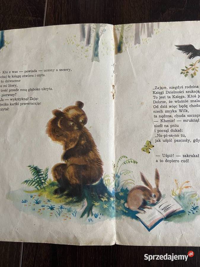 Tajemniczy Kajecik Bohdan Drozdowski ilustrował Błażejowice