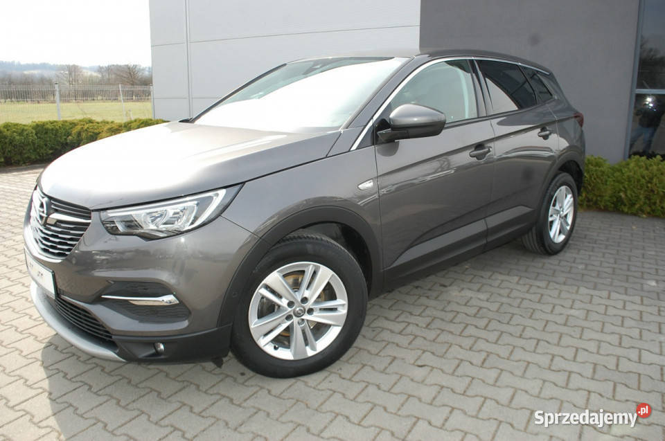 Opel Grandland X Nawigacja klimatyzacja Dębica