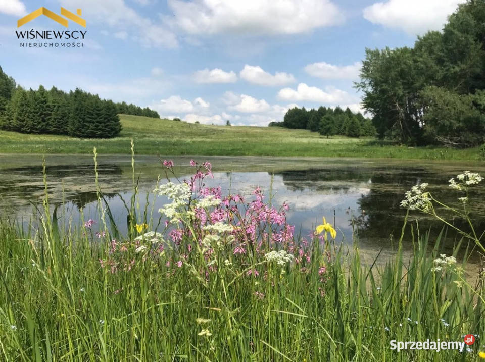 Działka 1028 m z WZ wśród natury Rogowo warmińsko-mazurskie