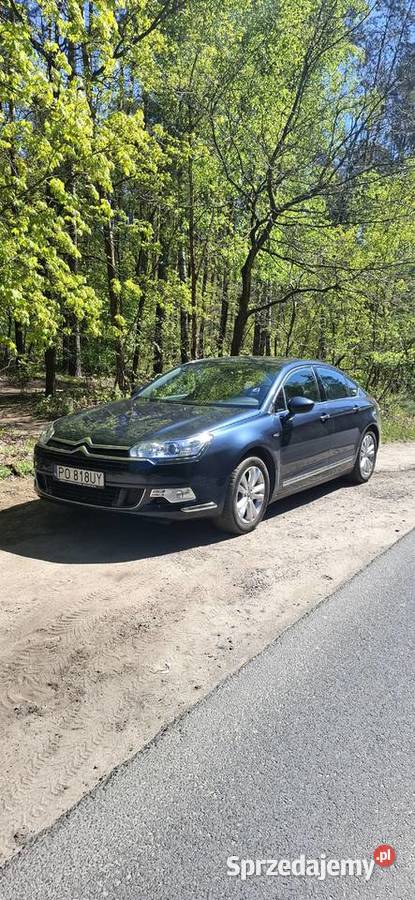 Citron C5 50 Poznań