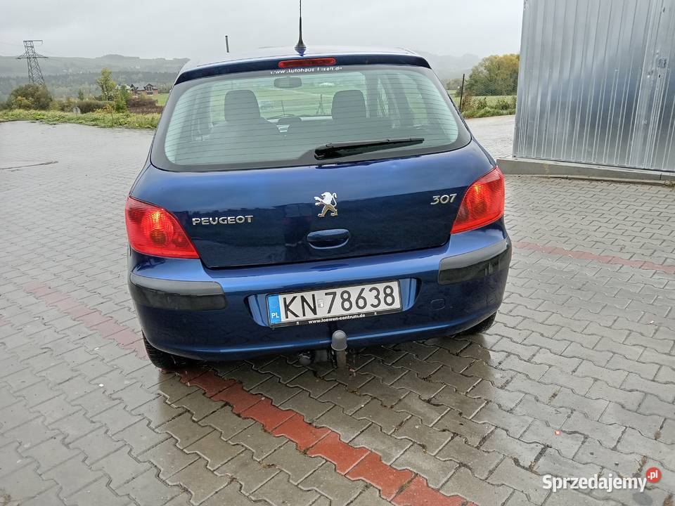 Peugeot 307 16 164 Przebiegu Grybów