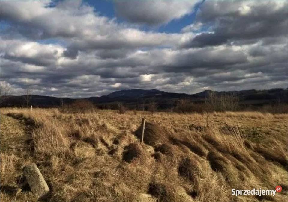 Działka granicy z Czechami RATY Cieszyn