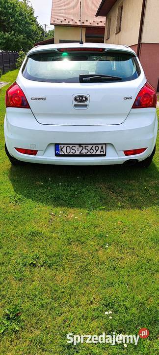 Kia pro ceed 16 crdi 10r Cee'd Oświęcim