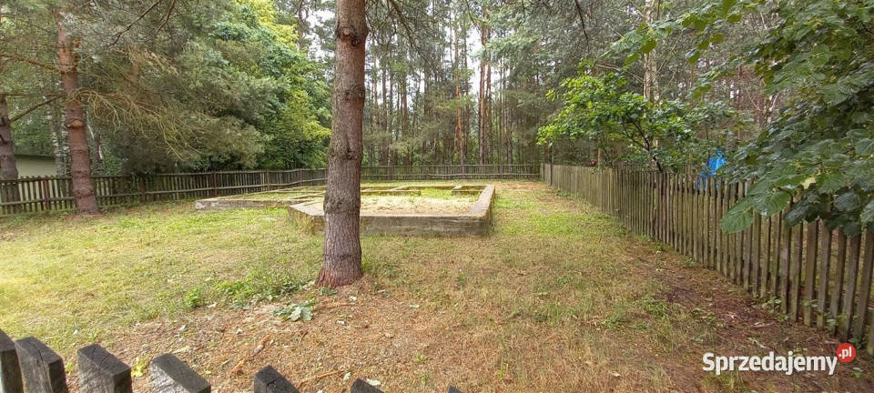 Cierpisz k Sędziszowa działka rekreacyjna 400m2 podkarpackie Sędziszów Małopolski