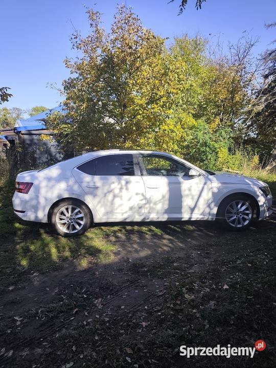 Skoda superb 16 Superb Poznań