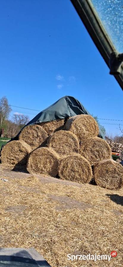 Słoma pszenna 120120 spod flizu świętokrzyskie