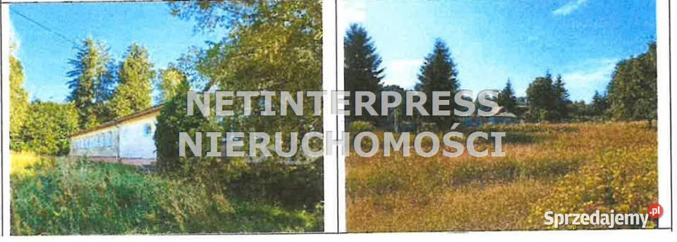 sprzedaży lokalu Piotrowiec 38693 metry sprzedam