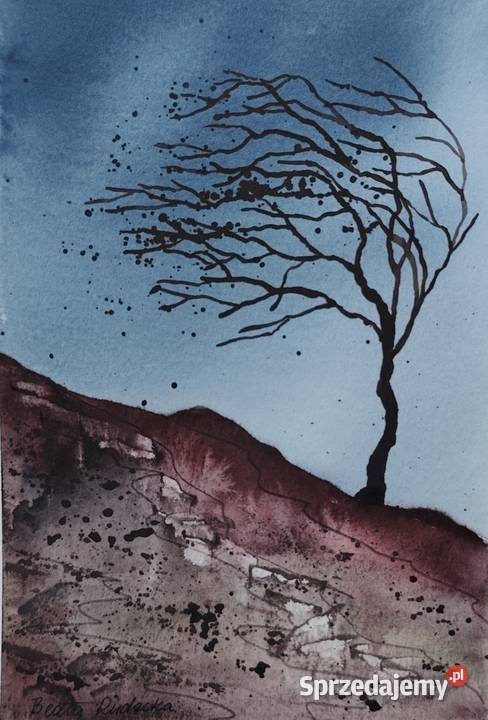 Akwarela Akwarelka Obraz pt Wiatr sprzedam