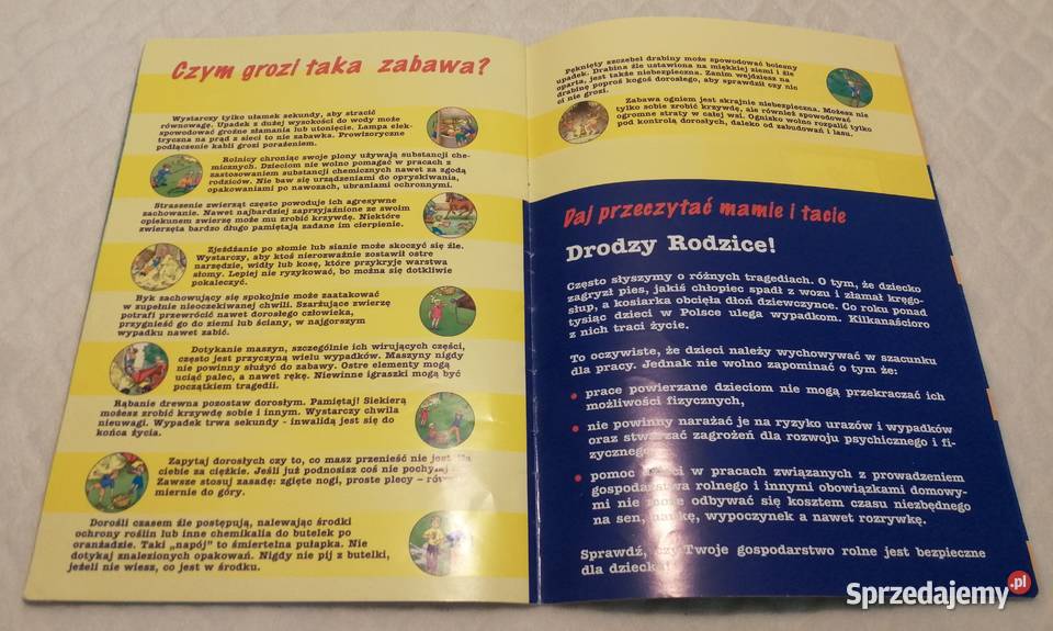 Przygoda na wsi co ci zagraża PIP 2009 Czeladź