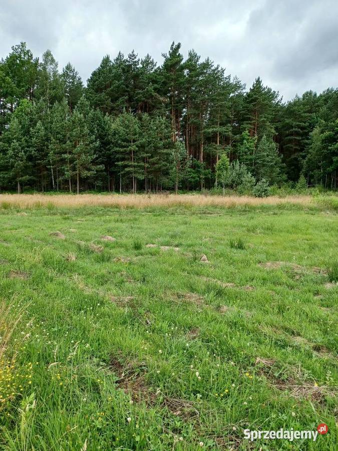 Działka z warunkami zabudowy mieszkaniowej Kąty-Miąski