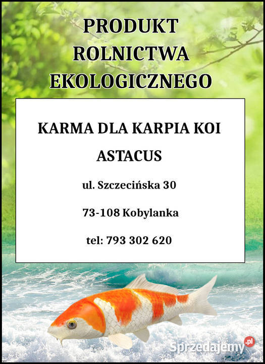 Karma pasza ryb karp koi pstrąg jesiotr Stargard