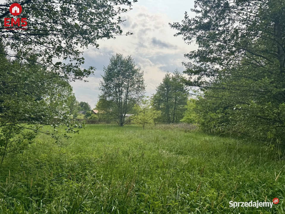 Grunt 2900m2 Kosmaty Borek