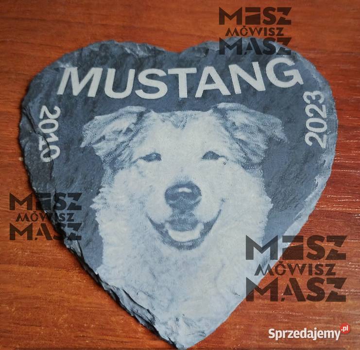 Tabliczka pamiątkowa zwierzaka z fotograwerem Racot