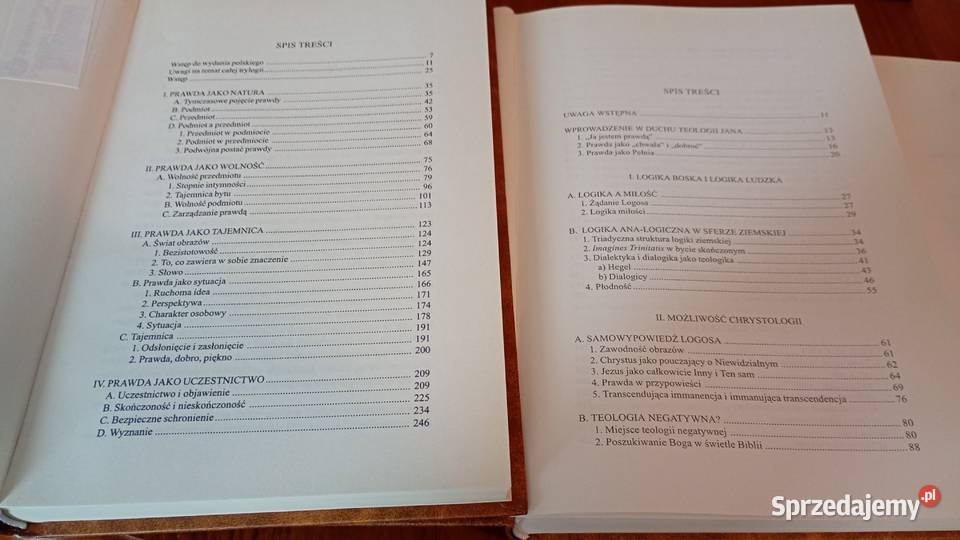 Teologika 13 Prawda świata boga Duch prawdy Hans Gdańsk