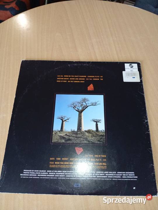 Pink Floyd Delicate Sound Of Thunder Hungary pomorskie Rumia sprzedam