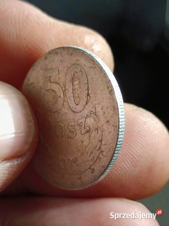 Sprzedam 50 gr 1957 r lubelskie Chełm sprzedam