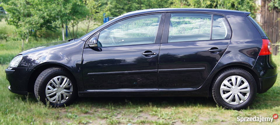 Volkswagen VW Golf V 14 FSI 2004 opłacony aluminiowe felgi Grudziądz