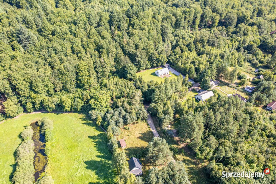 Grunt 1000m2 Szymbark