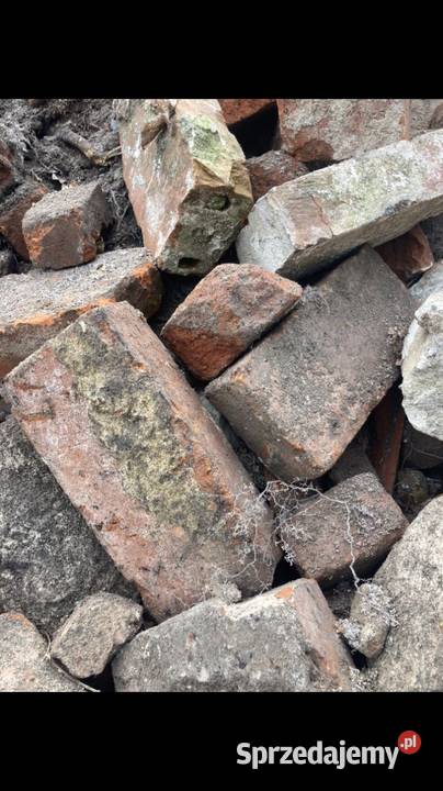 Cegła rozbiórkowa 24 x 12 x 6 050 pln sztuka Pozostałe Oborniki Śląskie sprzedam