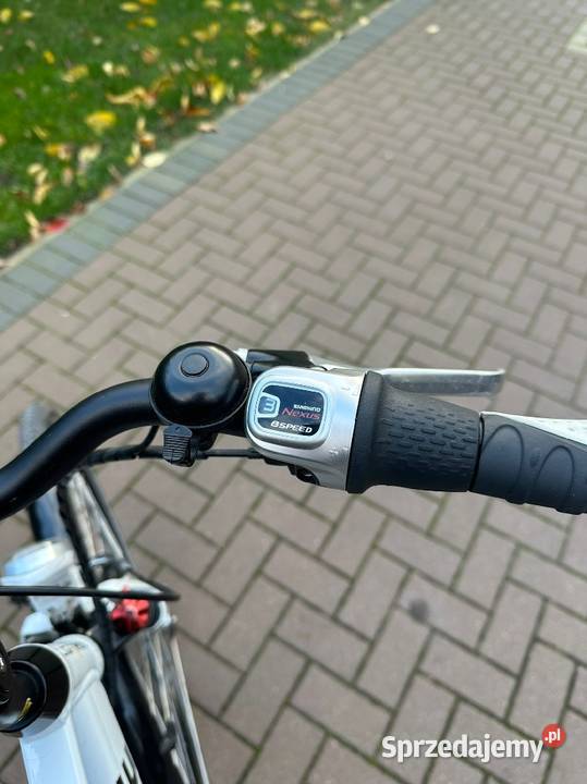Rower elektryczny LIGHTRIDE Doruchów