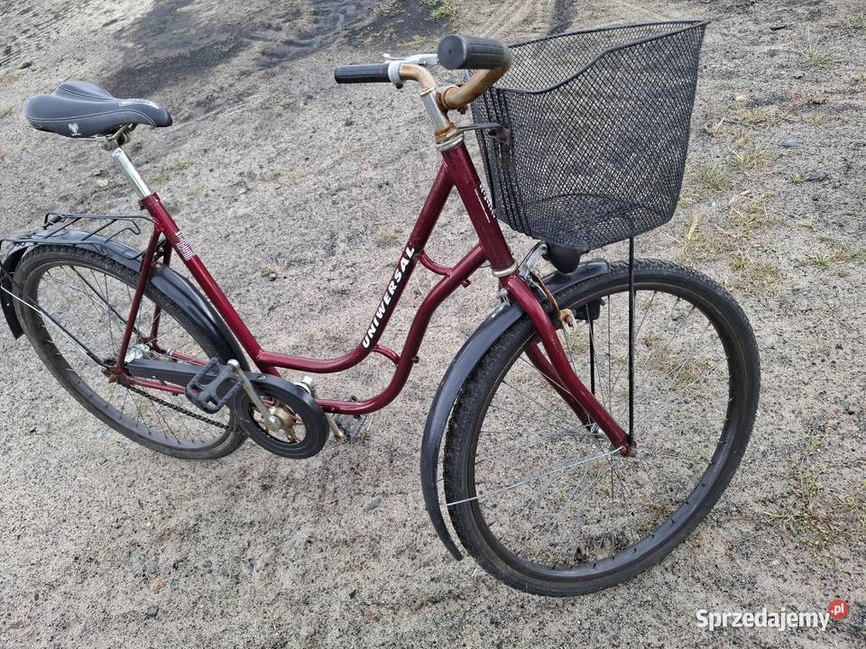 Rower damka z koszykiem