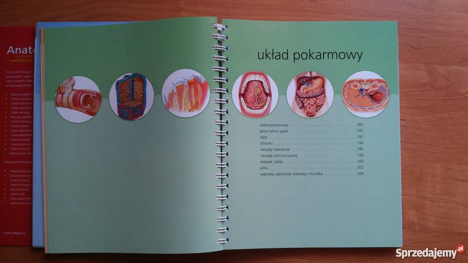 Anatomia Ilustrowany słownik i repetytorium śląskie Myszków