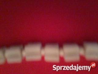 korale białe łódzkie Łódź