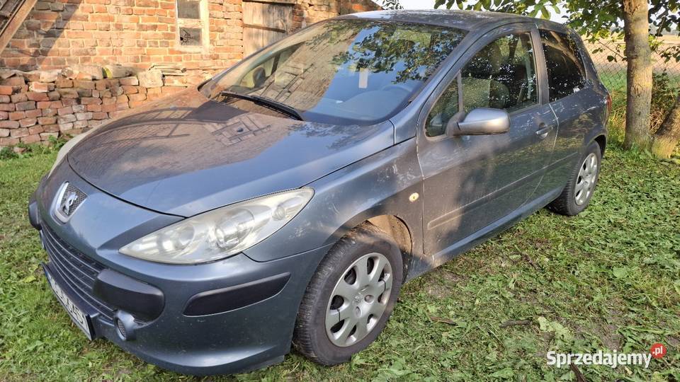 Peugeot 307 14 2005 elektryczne szyby wielkopolskie Gorazdowo