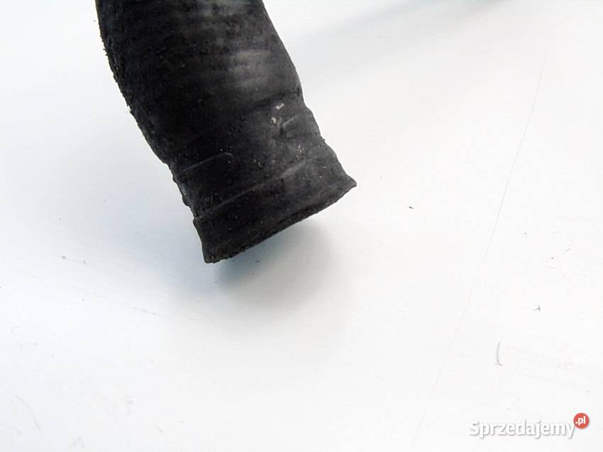 WĄŻ WODY 22 DCI LAGUNA 2 ESPACE 4 VEL SATIS śląskie Sosnowiec