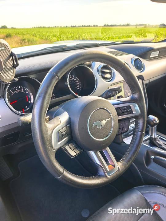 Ford Mustang GT Premium sprowadzony wielkopolskie Swarzędz