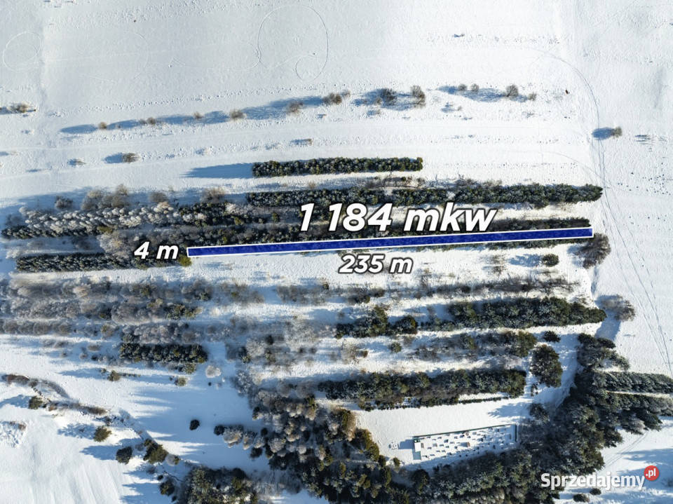 Pakiet działek w Frydmanie 9236m2 Frydman