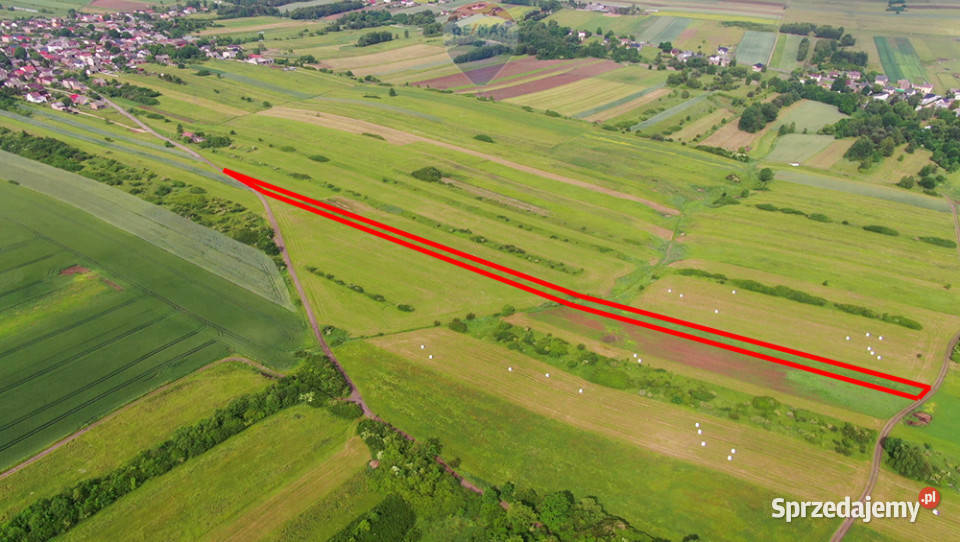 Działka rolna PorębaNiwki 10m Sprzedaż śląskie Poręba